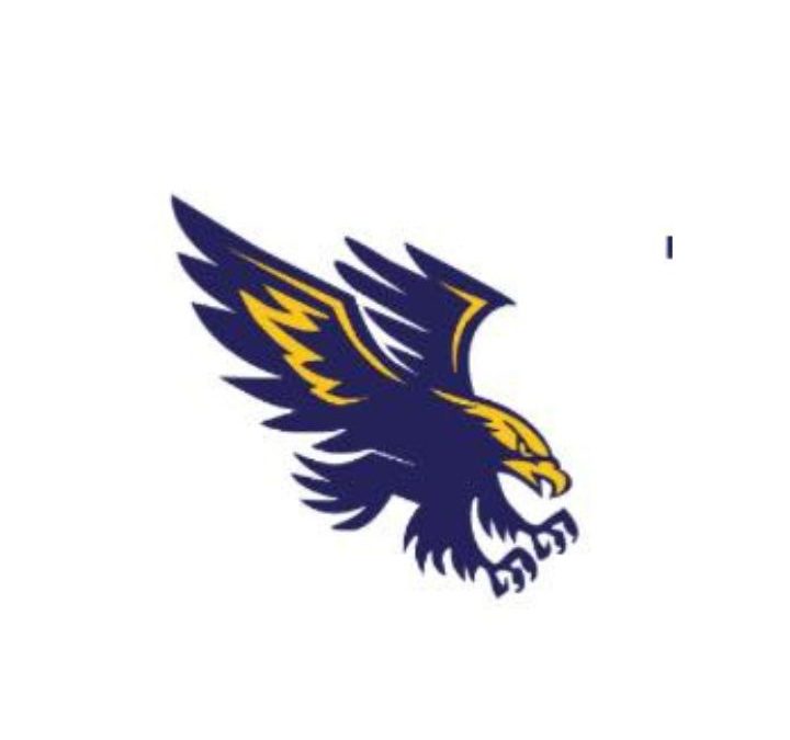 Mansfield Junior Football